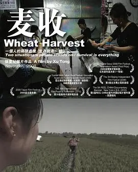 《麦收》：一部关于农村现实的诗意纪录片，镜头下的中国农民群像 | 深度影评