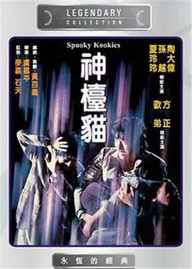 《神台猫》影评：喵星人的奇幻冒险，信仰与现实的交织？