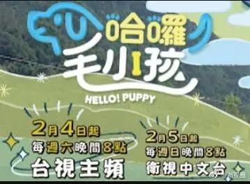 《哈啰！毛小孩》：萌宠当家，爆笑治愈！看明星店长如何与毛小孩们擦出爱的火花！