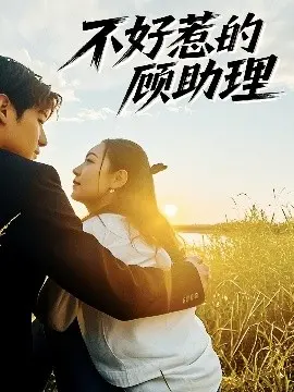 《不好惹的顾助理》：职场女王的逆袭之路，谁说助理就该默默无闻？