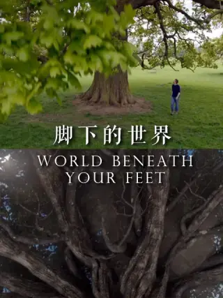 《脚下的世界》：一部关于救赎与希望的感人佳作，探索爱与重生的真谛