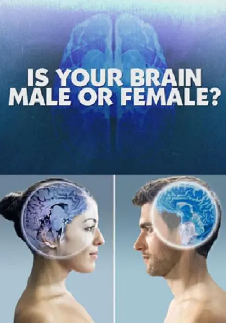 《你的大脑是男性还是女性》：性别迷思下的梦想实现，悬疑剧情颠覆认知！